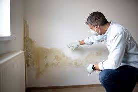 Best Attic Mold Removal  in Wallington, NJ